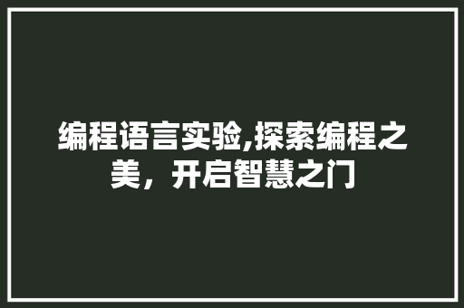 编程语言实验,探索编程之美，开启智慧之门