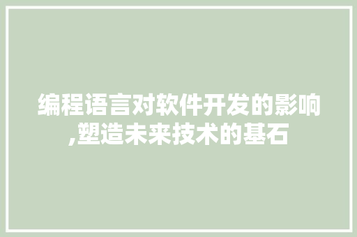 编程语言对软件开发的影响,塑造未来技术的基石