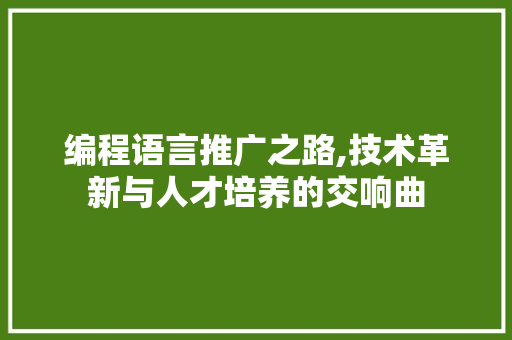 编程语言推广之路,技术革新与人才培养的交响曲