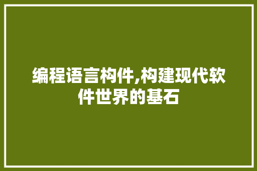 编程语言构件,构建现代软件世界的基石 编程语言构件,构建现代软件世界的基石