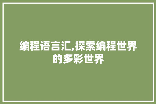 编程语言汇,探索编程世界的多彩世界