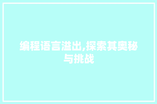 编程语言溢出,探索其奥秘与挑战