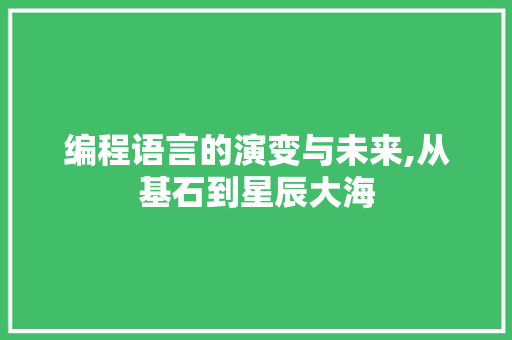 编程语言的演变与未来,从基石到星辰大海