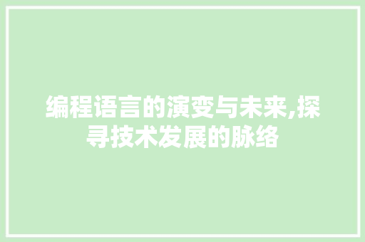 编程语言的演变与未来,探寻技术发展的脉络