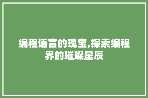 编程语言的瑰宝,探索编程界的璀璨星辰 编程语言