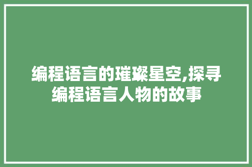 编程语言的璀璨星空,探寻编程语言人物的故事