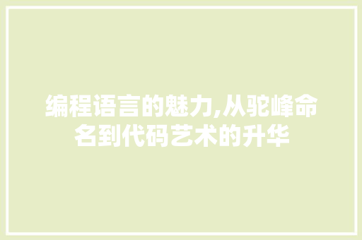 编程语言的魅力,从驼峰命名到代码艺术的升华