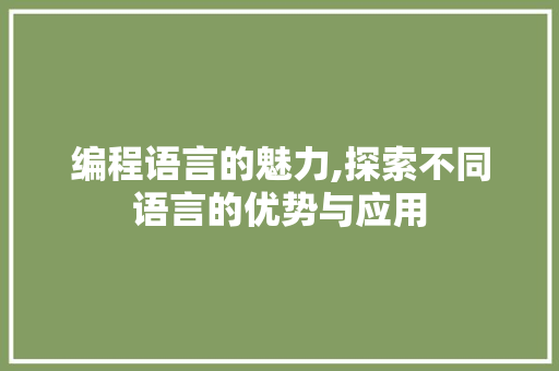 编程语言的魅力,探索不同语言的优势与应用