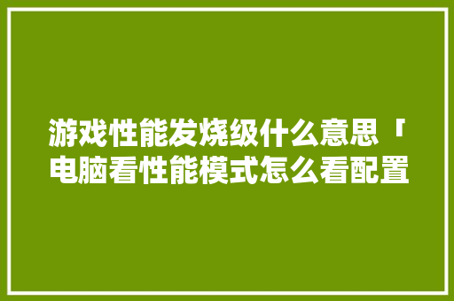 游戏性能发烧级什么意思「电脑看性能模式怎么看配置高低」 编程语言 游戏性能发烧级什么意思「电脑看性能模式怎么看配置高低」 游戏性能发烧级什么意思「电脑看性能模式怎么看配置高低」 编程语言