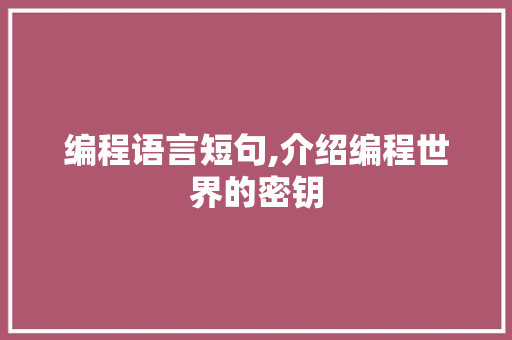 编程语言短句,介绍编程世界的密钥