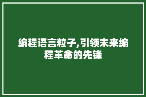 编程语言粒子,引领未来编程革命的先锋