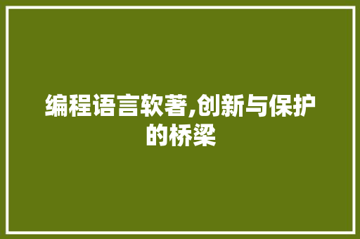 编程语言软著,创新与保护的桥梁