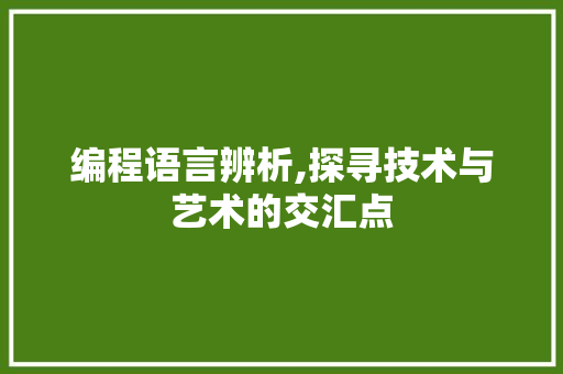 编程语言辨析,探寻技术与艺术的交汇点