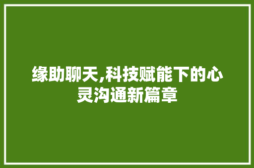 缘助聊天,科技赋能下的心灵沟通新篇章 编程语言