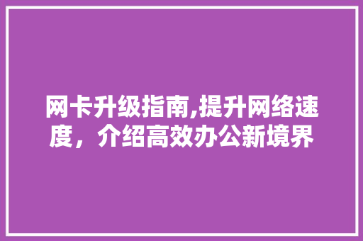 网卡升级指南,提升网络速度，介绍高效办公新境界 网络技术