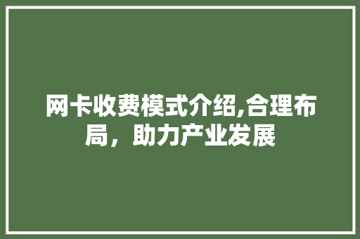 网卡收费模式介绍,合理布局，助力产业发展 电脑基础