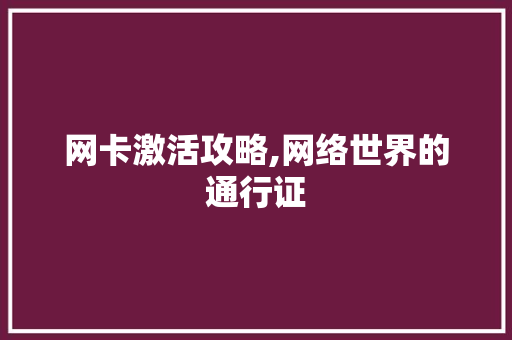 网卡激活攻略,网络世界的通行证