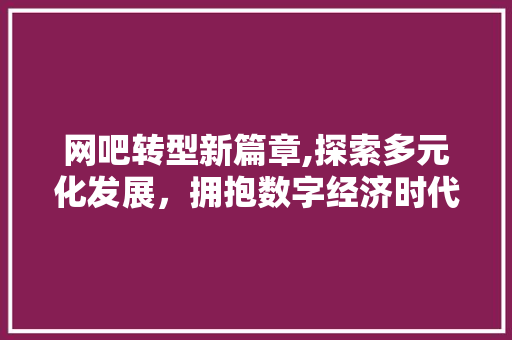 网吧转型新篇章,探索多元化发展，拥抱数字经济时代 网络技术