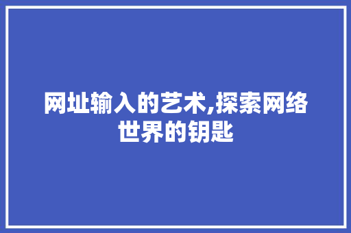 网址输入的艺术,探索网络世界的钥匙