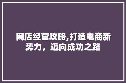 网店经营攻略,打造电商新势力,迈向成功之路 网店经营攻略,打造电商新势力,迈向成功之路