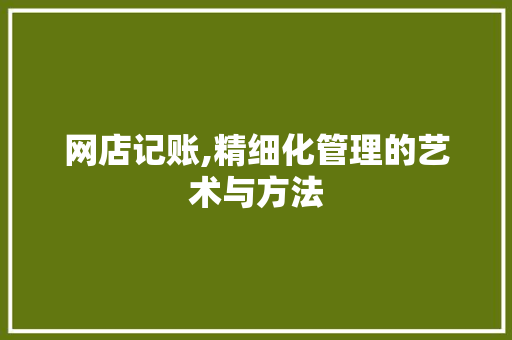 网店记账,精细化管理的艺术与方法 网店记账,精细化管理的艺术与方法