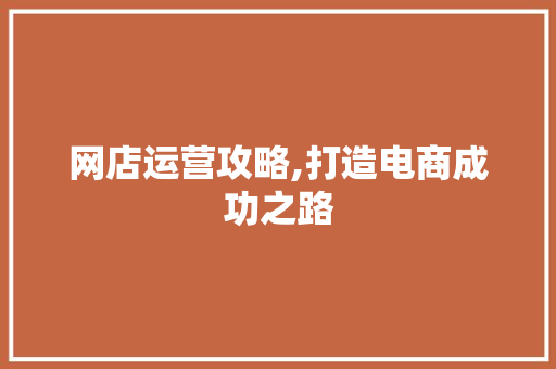 网店运营攻略,打造电商成功之路