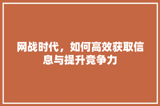 网战时代,如何高效获取信息与提升竞争力 网战时代,如何高效获取信息与提升竞争力