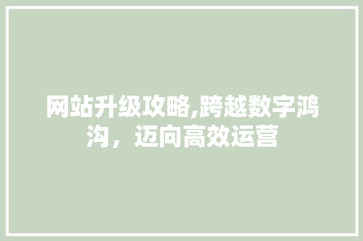 网站升级攻略,跨越数字鸿沟，迈向高效运营