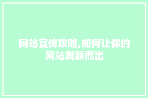网站宣传攻略,如何让你的网站脱颖而出