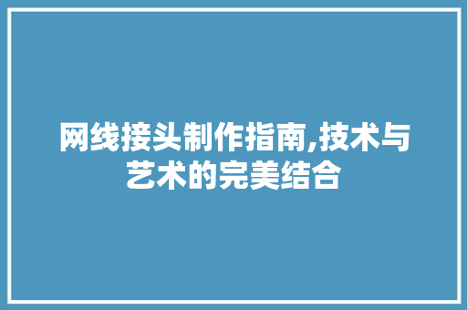 网线接头制作指南,技术与艺术的完美结合