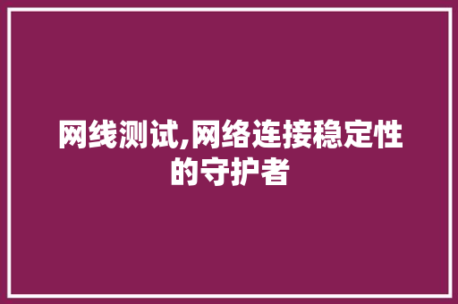 网线测试,网络连接稳定性的守护者