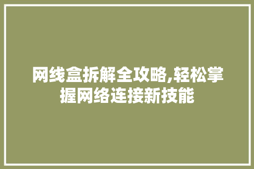 网线盒拆解全攻略,轻松掌握网络连接新技能 网络技术