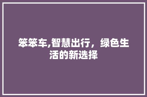 笨笨车,智慧出行,绿色生活的新选择 笨笨车,智慧出行,绿色生活的新选择