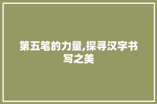 第五笔的力量,探寻汉字书写之美
