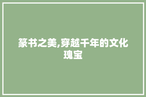 篆书之美,穿越千年的文化瑰宝
