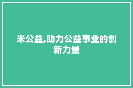米公益,助力公益事业的创新力量