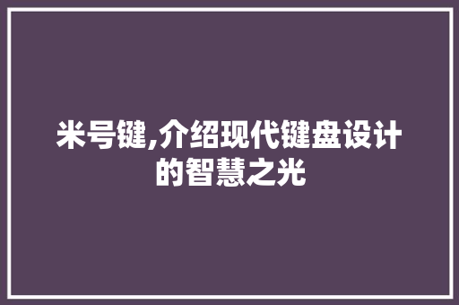 米号键,介绍现代键盘设计的智慧之光