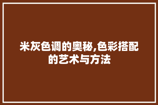 米灰色调的奥秘,色彩搭配的艺术与方法