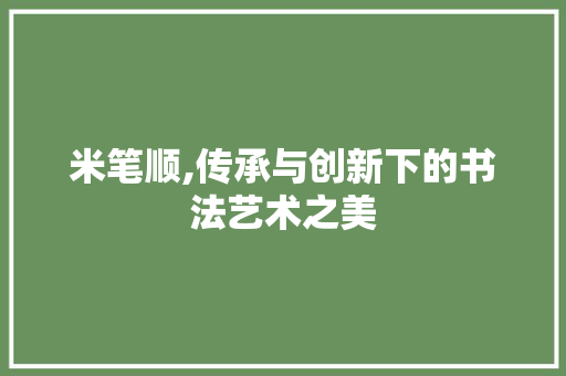 米笔顺,传承与创新下的书法艺术之美