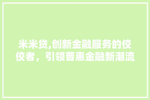 米米贷,创新金融服务的佼佼者，引领普惠金融新潮流