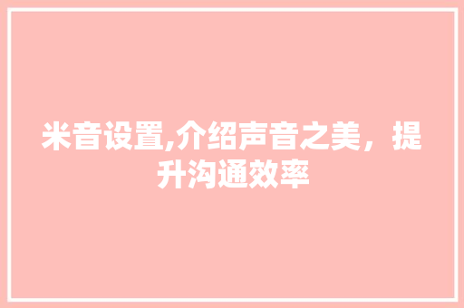 米音设置,介绍声音之美，提升沟通效率