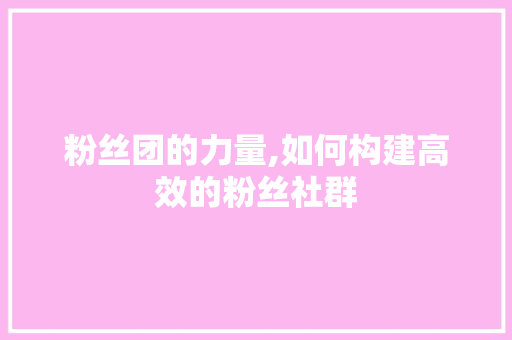 粉丝团的力量,如何构建高效的粉丝社群