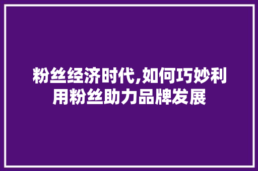 粉丝经济时代,如何巧妙利用粉丝助力品牌发展