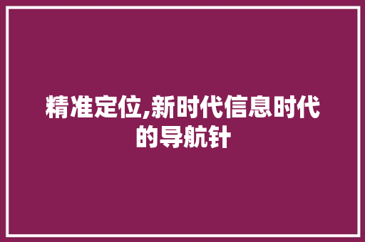 精准定位,新时代信息时代的导航针