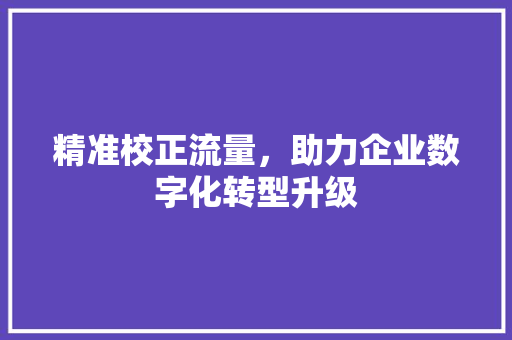 精准校正流量，助力企业数字化转型升级