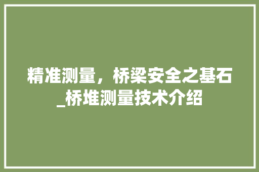 精准测量，桥梁安全之基石_桥堆测量技术介绍