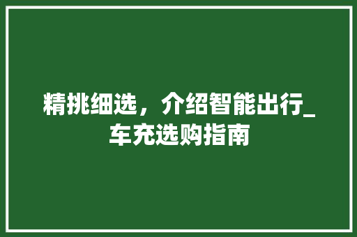 精挑细选，介绍智能出行_车充选购指南