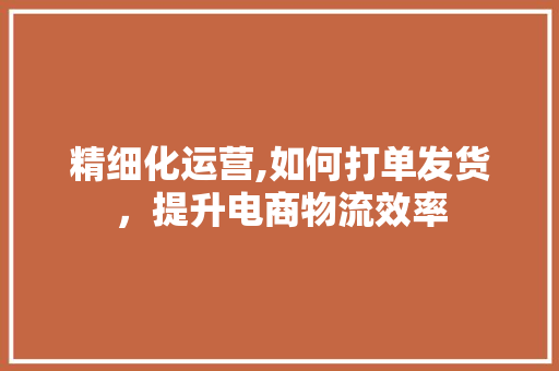 精细化运营,如何打单发货，提升电商物流效率