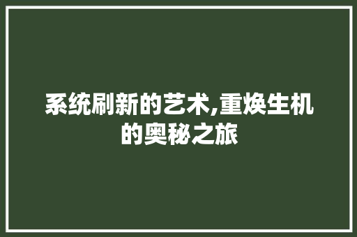 系统刷新的艺术,重焕生机的奥秘之旅