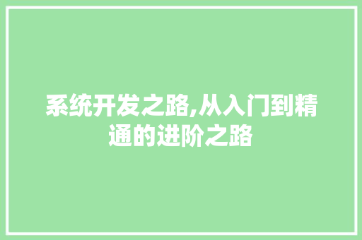 系统开发之路,从入门到精通的进阶之路